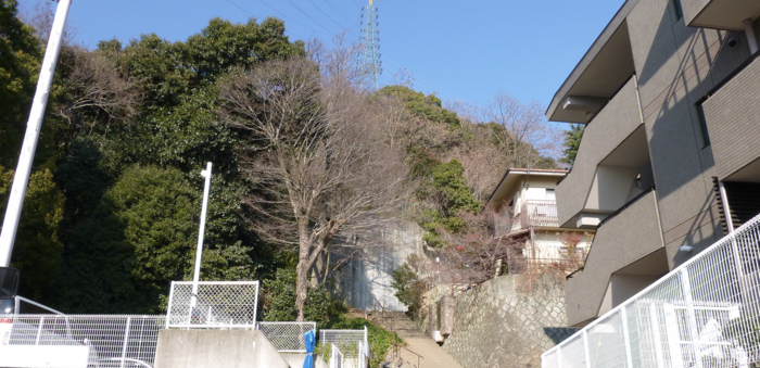 f:id:aw2q:20130112192401j:image