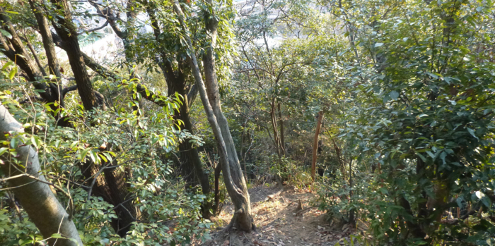 f:id:aw2q:20130112193309j:image