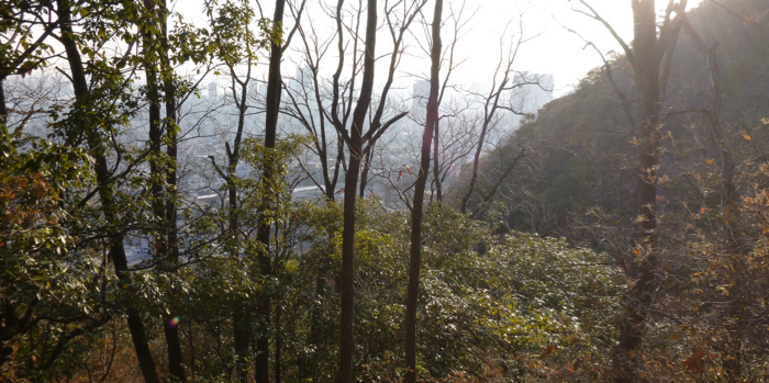 f:id:aw2q:20130112193328j:image