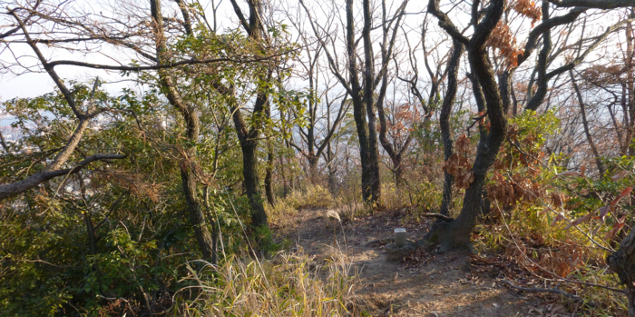 f:id:aw2q:20130112193348j:image