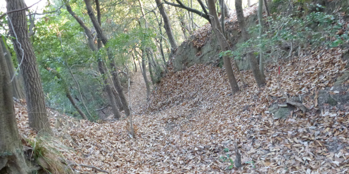 f:id:aw2q:20130112193406j:image
