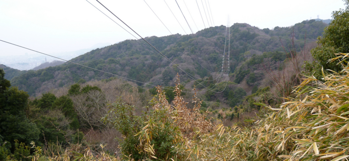 f:id:aw2q:20130114101451j:image f:id:aw2q:20130114101451j:image