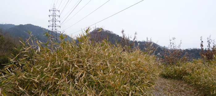 f:id:aw2q:20130114101525j:image f:id:aw2q:20130114101525j:image
