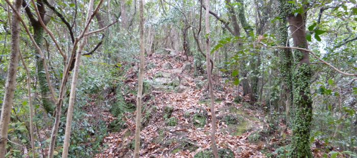 f:id:aw2q:20130114101542j:image f:id:aw2q:20130114101542j:image