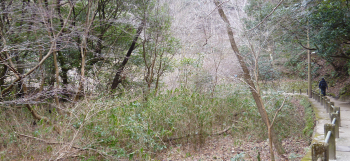 f:id:aw2q:20130114101557j:image f:id:aw2q:20130114101557j:image