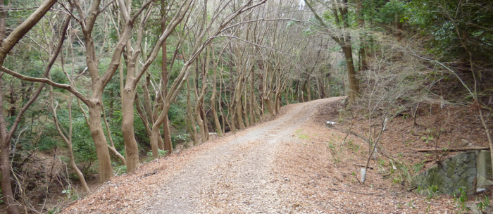 f:id:aw2q:20130114101907j:image f:id:aw2q:20130114101907j:image