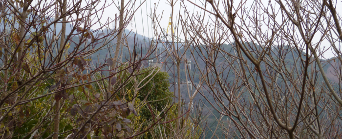 f:id:aw2q:20130114101944j:image f:id:aw2q:20130114101944j:image