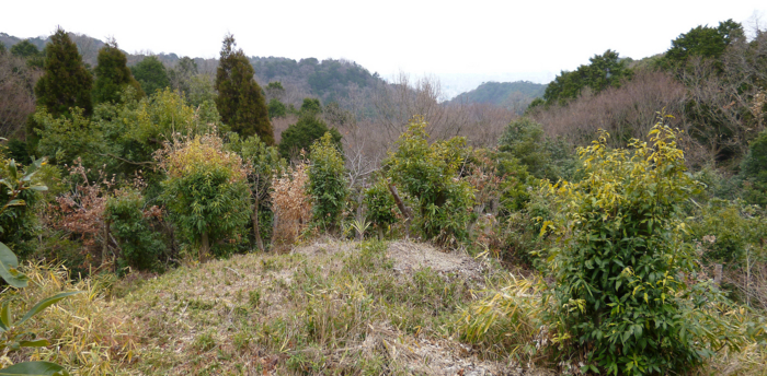 f:id:aw2q:20130114102014j:image f:id:aw2q:20130114102014j:image