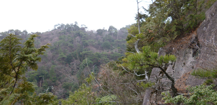 f:id:aw2q:20130120180200j:image