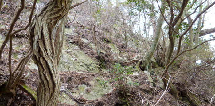 f:id:aw2q:20130120180259j:image