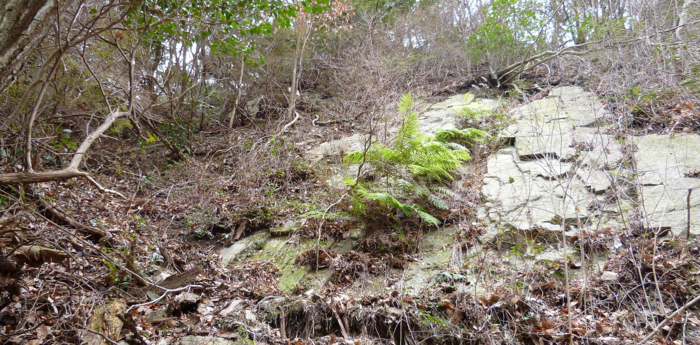 f:id:aw2q:20130120180311j:image