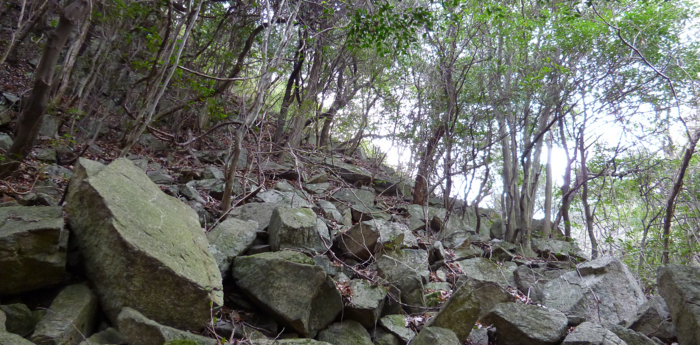 f:id:aw2q:20130120180323j:image