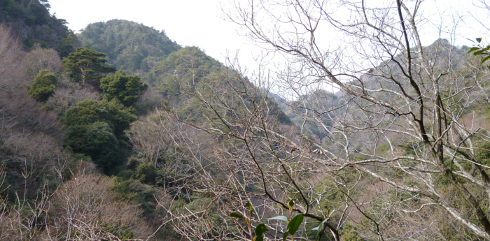 f:id:aw2q:20130120180334j:image