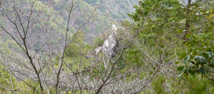 f:id:aw2q:20130120180528j:image