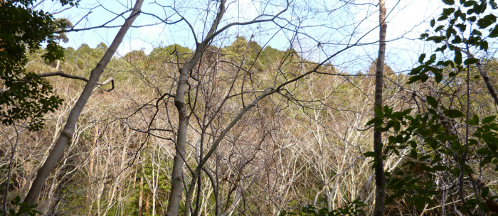 f:id:aw2q:20130121201818j:image