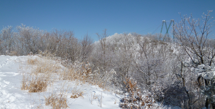 f:id:aw2q:20130126063045j:image