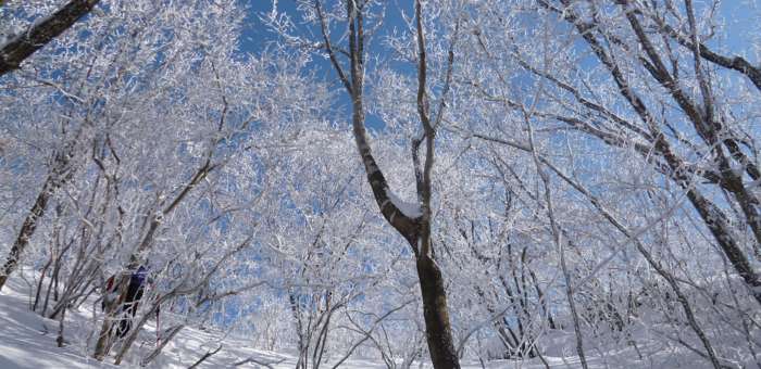 f:id:aw2q:20130126063104j:image