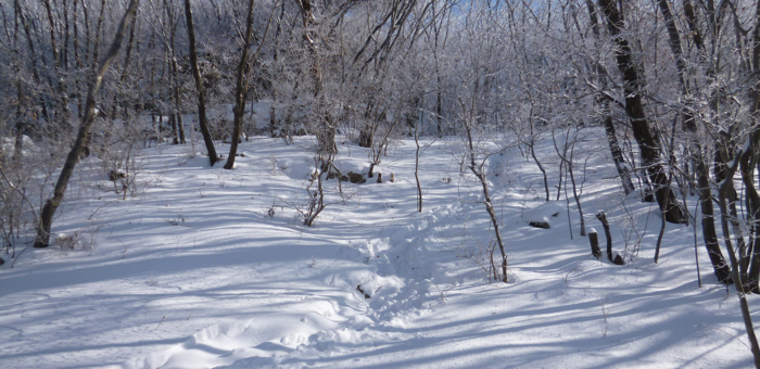 f:id:aw2q:20130126063113j:image