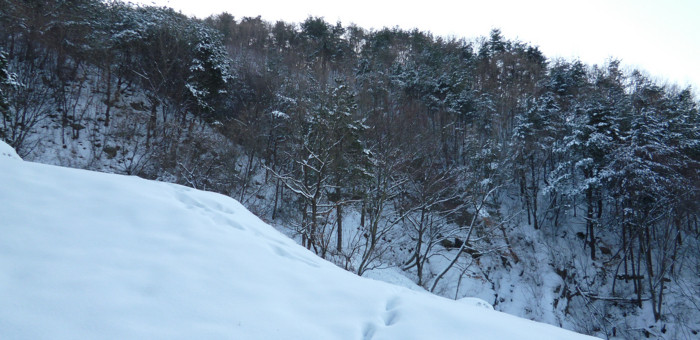 f:id:aw2q:20130126063147j:image