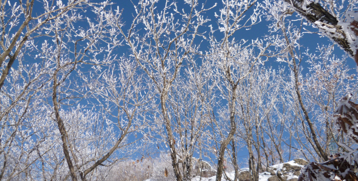 f:id:aw2q:20130126063522j:image