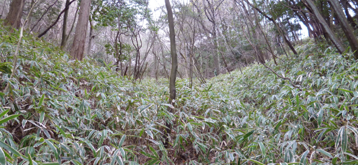 f:id:aw2q:20130127171035j:image