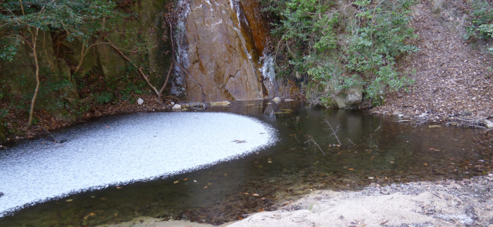 f:id:aw2q:20130127171130j:image