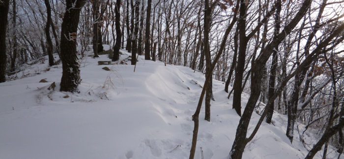 f:id:aw2q:20130202154731j:image
