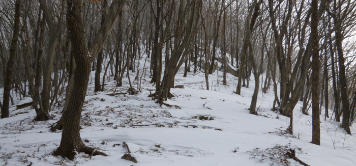 f:id:aw2q:20130202154741j:image