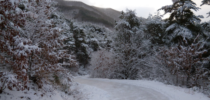 f:id:aw2q:20130202154810j:image