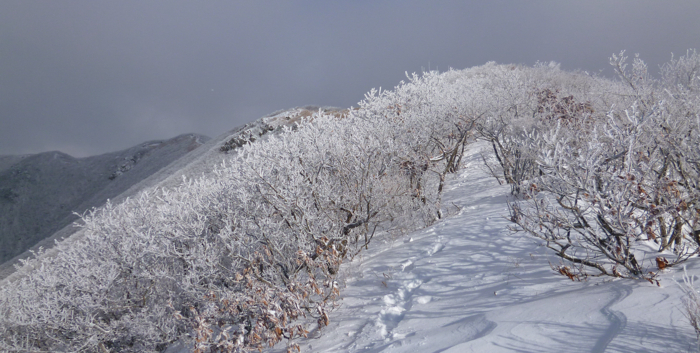 f:id:aw2q:20130202155246j:image