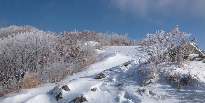 f:id:aw2q:20130202155257j:image