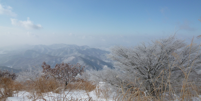 f:id:aw2q:20130202155325j:image
