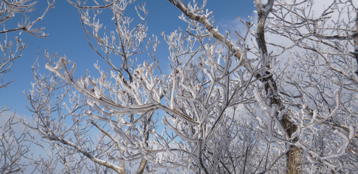 f:id:aw2q:20130202155345j:image