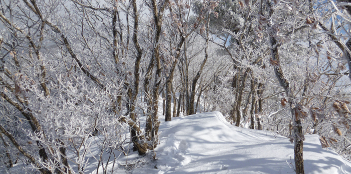 f:id:aw2q:20130202155354j:image