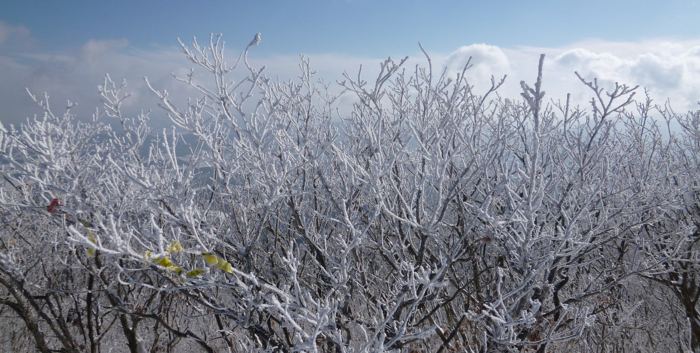 f:id:aw2q:20130202155803j:image