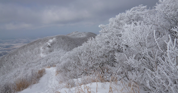 f:id:aw2q:20130202162222j:image