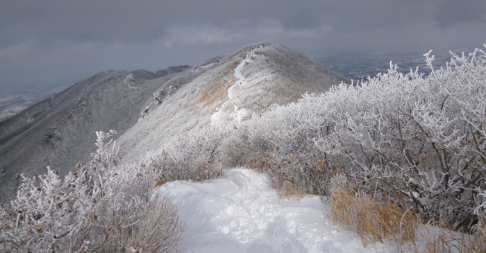 f:id:aw2q:20130202162232j:image