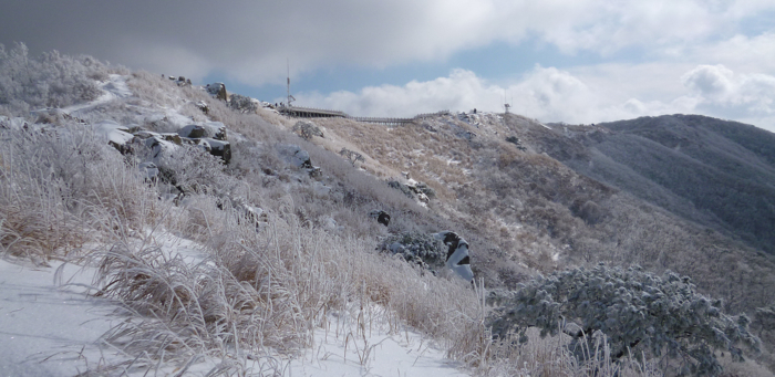 f:id:aw2q:20130202162747j:image