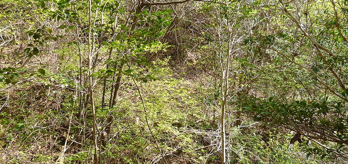 f:id:aw2q:20130504075603j:image