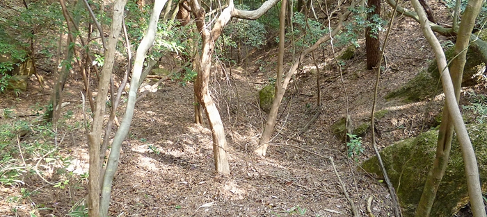 f:id:aw2q:20130504075605j:image