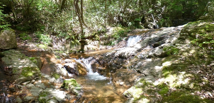 f:id:aw2q:20130526091051j:image