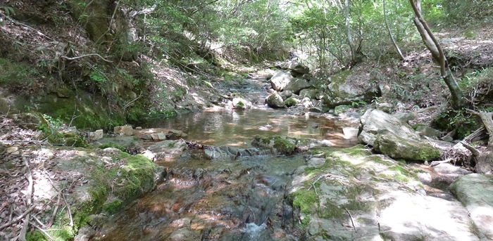 f:id:aw2q:20130526091058j:image