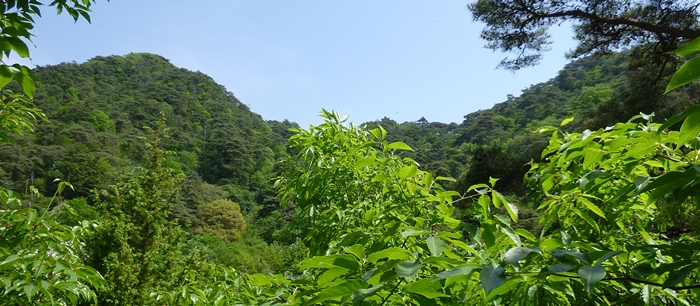 f:id:aw2q:20130526091104j:image