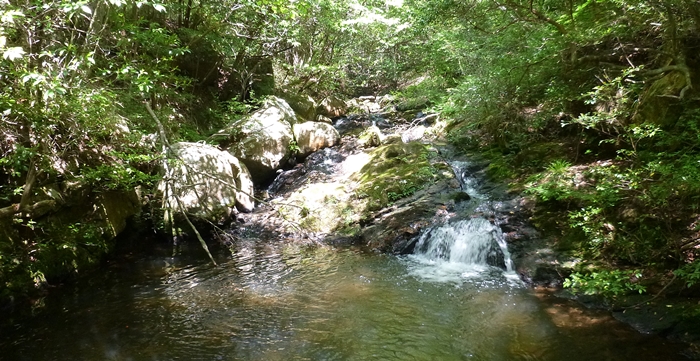 f:id:aw2q:20130526091108j:image
