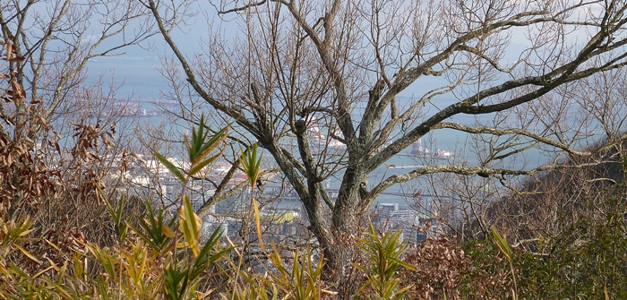 f:id:aw2q:20131223060038j:image