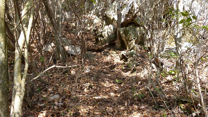 f:id:aw2q:20131223191940j:image