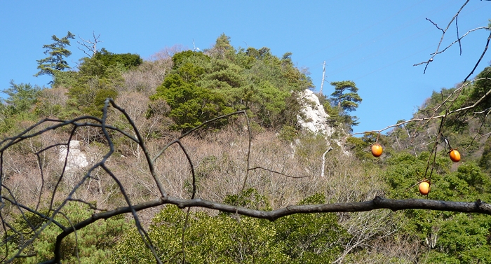 f:id:aw2q:20131223191944j:image