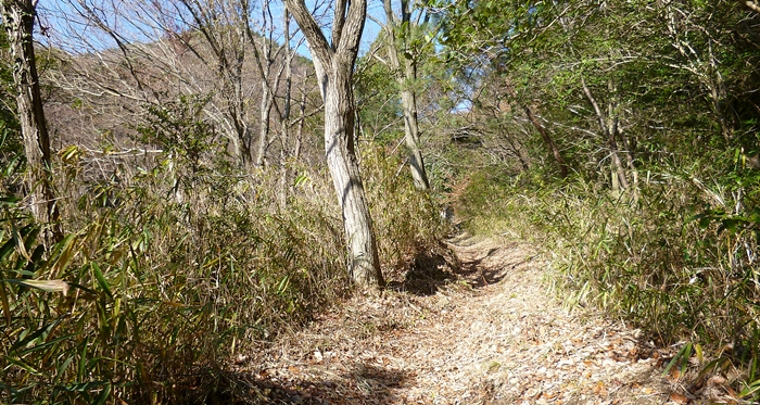 f:id:aw2q:20131223191945j:image