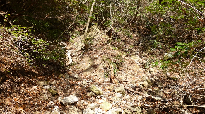 f:id:aw2q:20131223192313j:image