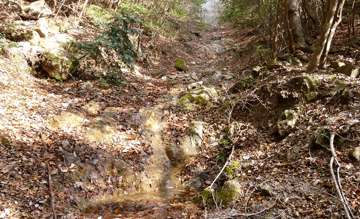 f:id:aw2q:20131223192316j:image